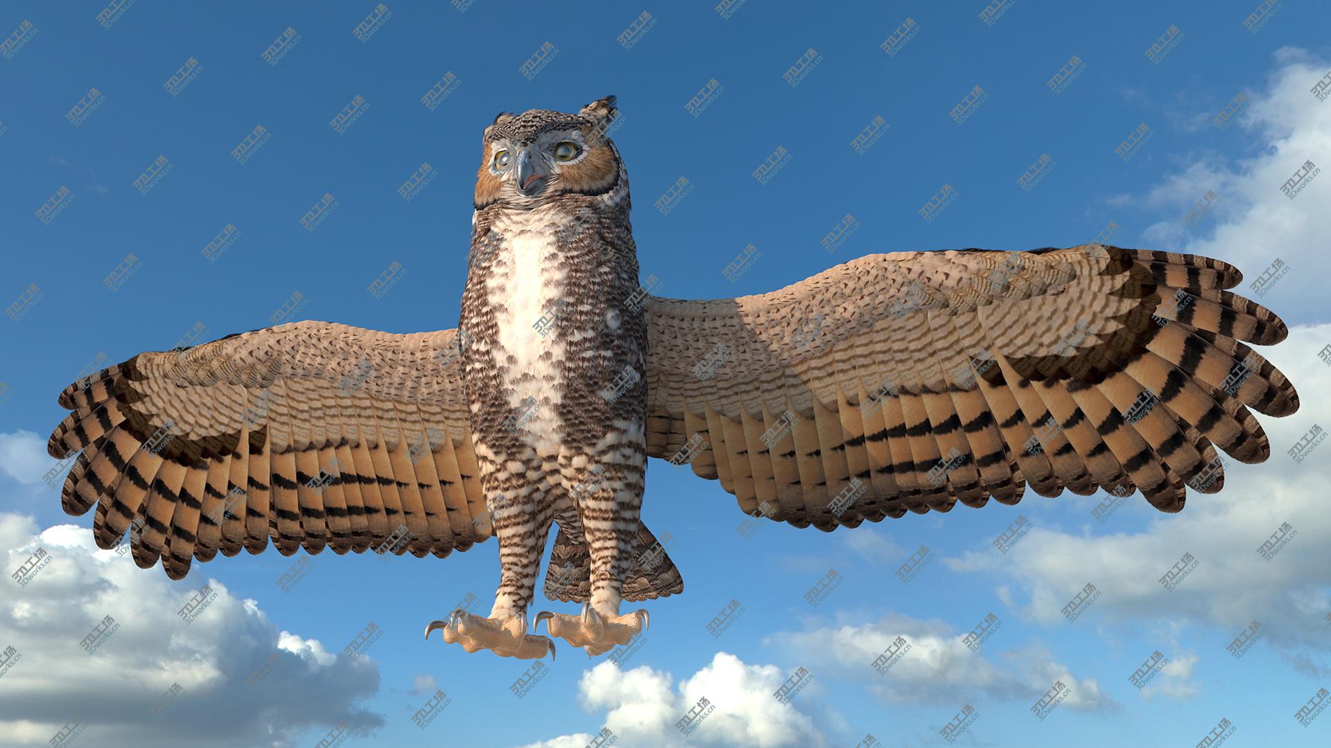 images/goods_img/202104022/Great Horned Owl T-Pose 3D model/5.jpg